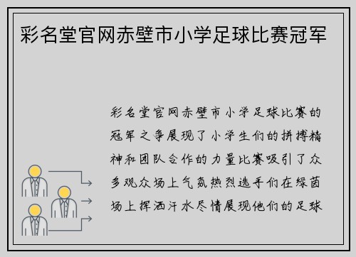 彩名堂官网赤壁市小学足球比赛冠军