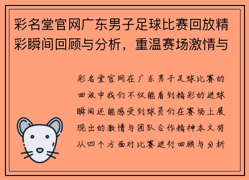 彩名堂官网广东男子足球比赛回放精彩瞬间回顾与分析，重温赛场激情与团队合作精神