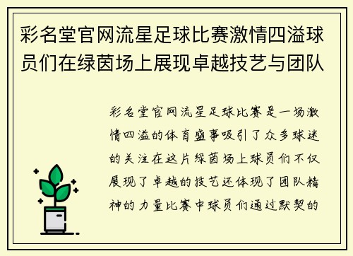 彩名堂官网流星足球比赛激情四溢球员们在绿茵场上展现卓越技艺与团队精神